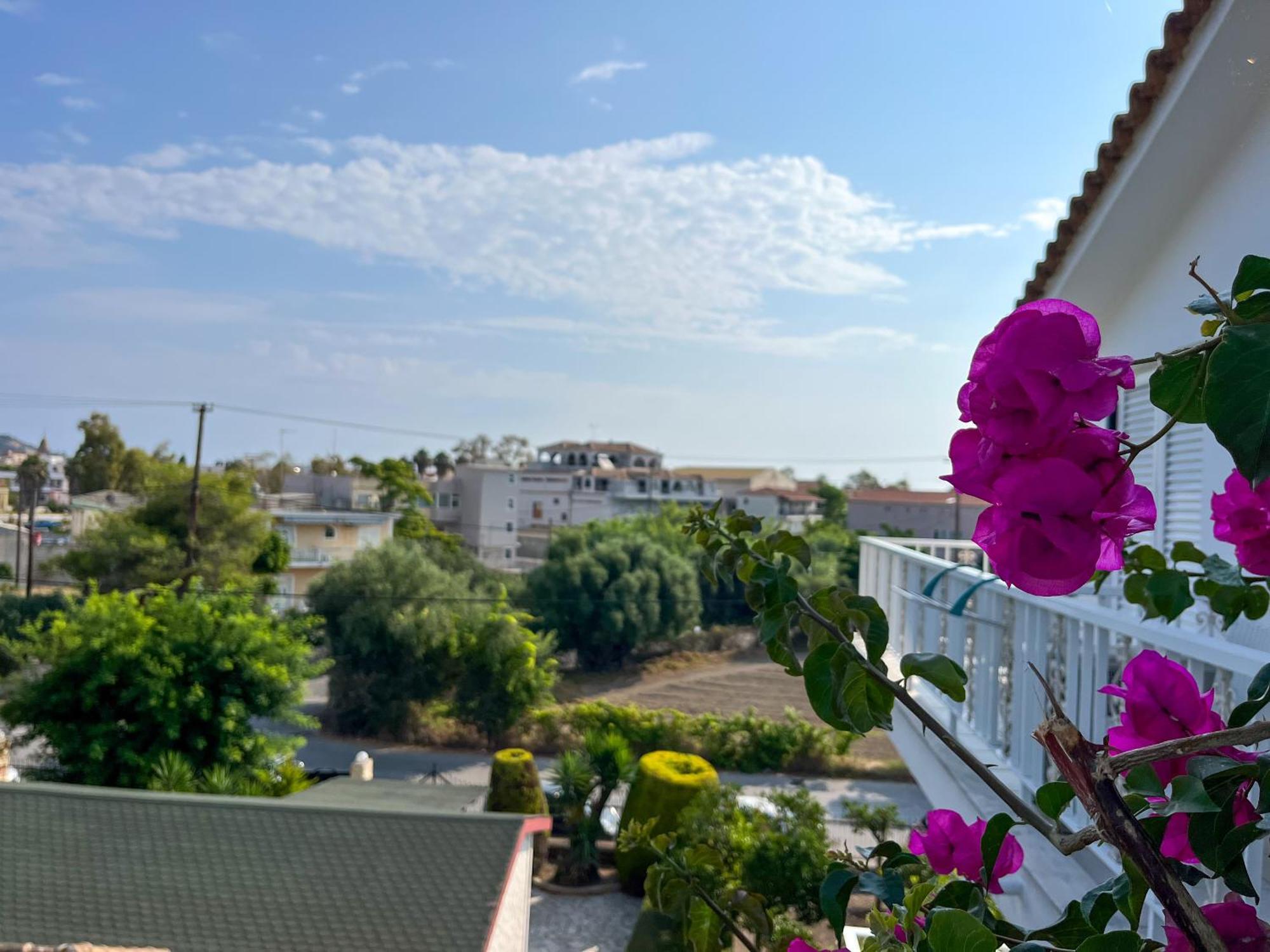 Pettas Apartments Zakynthos Exteriér fotografie