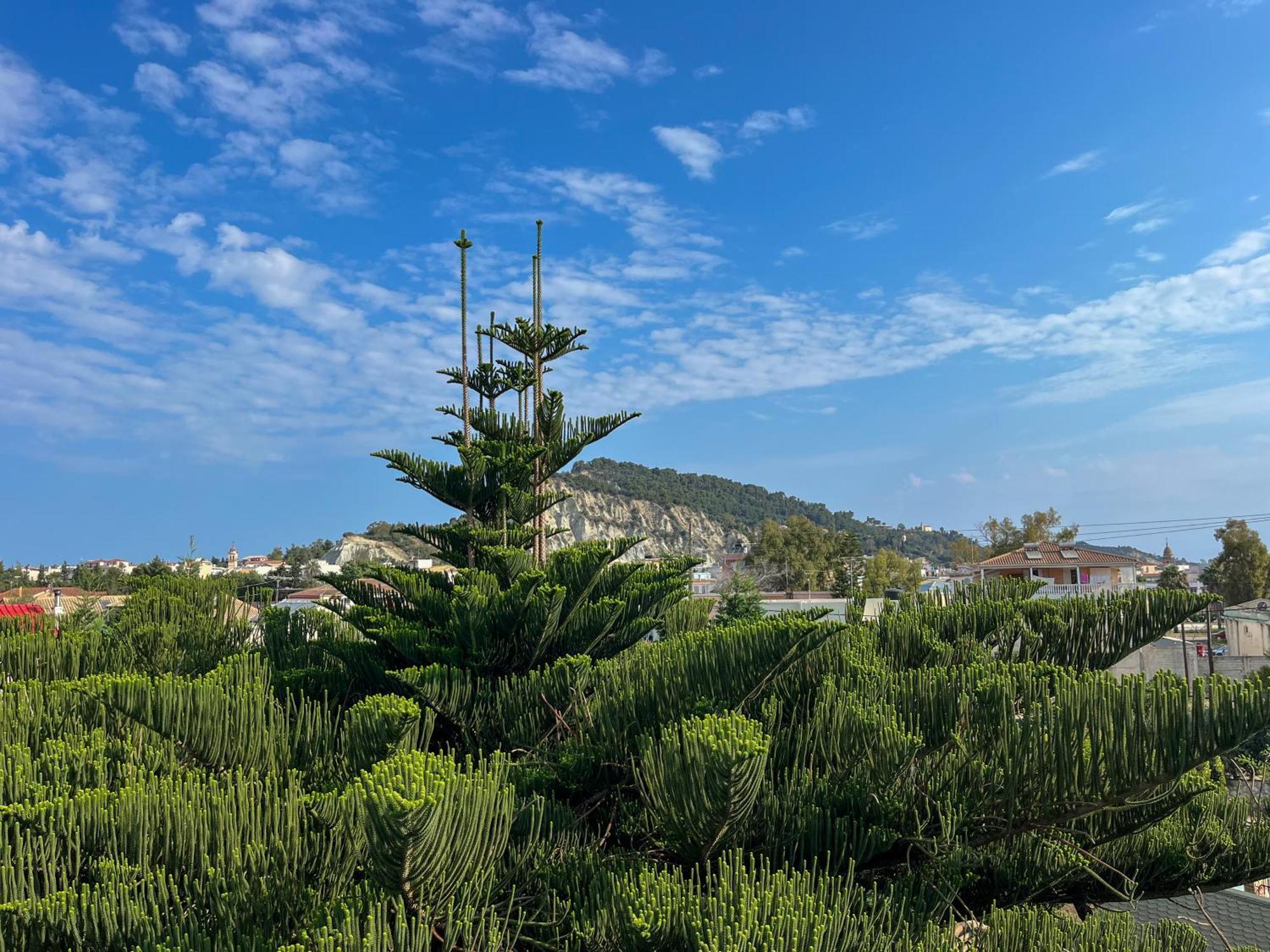 Pettas Apartments Zakynthos Exteriér fotografie